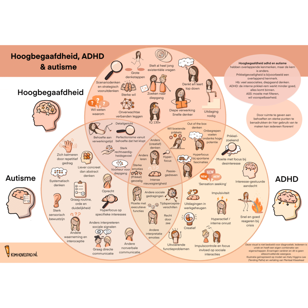 Hoogbegaafdheid / ADHD / autisme - praatplaat