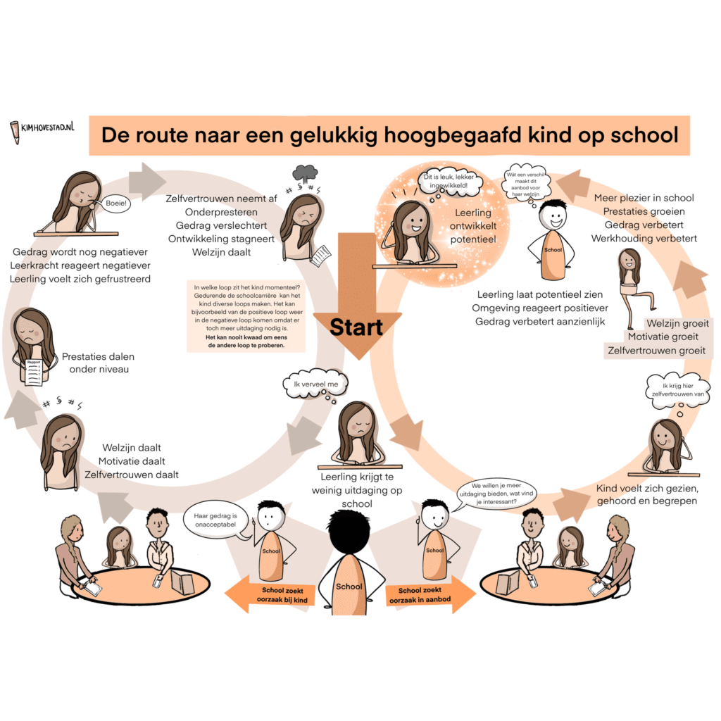 De route naar een gelukkig hoogbegaafd kind op school - praatplaat