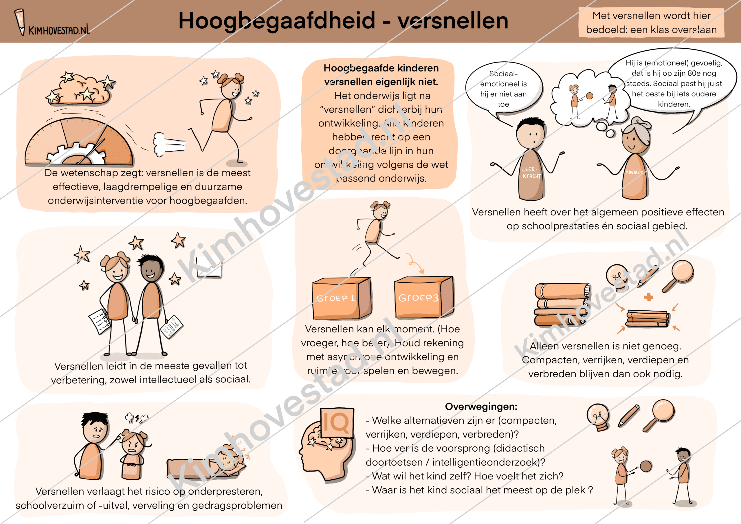 Infographic praatplaat afbeelding hoogbegaafd kind versnellen klas overslaan.